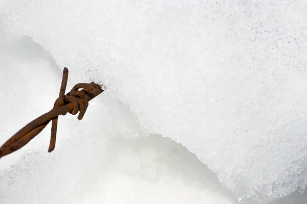 雪と錆びた鉄条網. — ストック写真