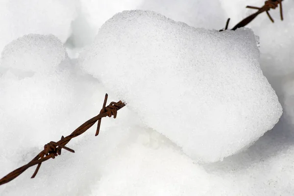 Колючая проволока со снежным и ржавым . — стоковое фото