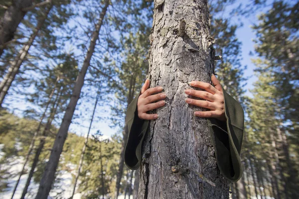 Kobieta Przytula Się Drzewa Zdjęciu Szerokokątnym — Zdjęcie stockowe