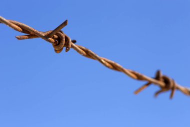 Mavi gökyüzü ile paslı dikenli tel.