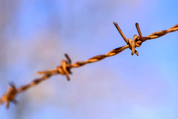 Rusty Ostnatý Drát Modrou Oblohou — Stock fotografie