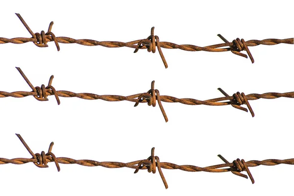 Rusty Barbed Wire White Background Royalty Free Stock Images