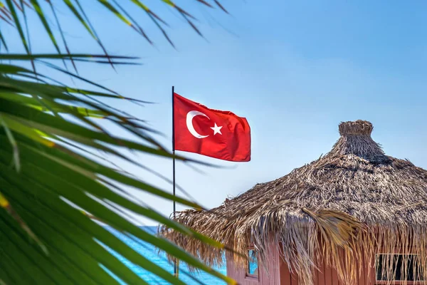 Flag af Tyrkiet på baggrund af havet og palme på en solrig sommerdag - Stock-foto