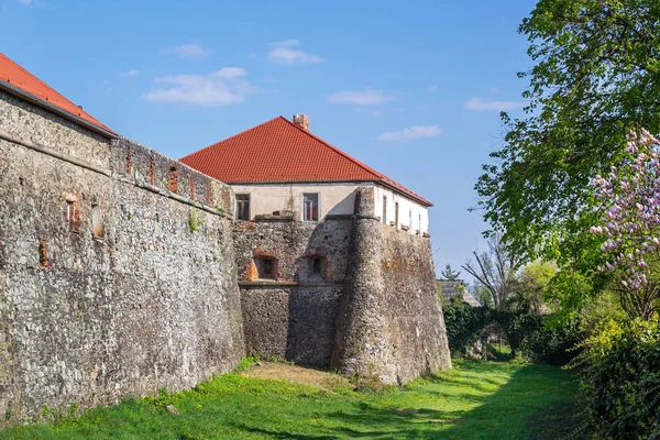 Güneşli bir günde Ukrayna kalede Uzhhorod görüntüleyin