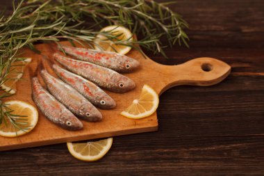 rosemary bir rustik tarzı ile taze Karadeniz balık uskumru besindir