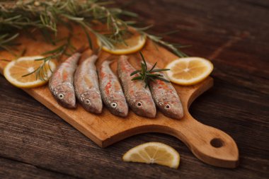 rosemary bir rustik tarzı ile taze Karadeniz balık uskumru besindir
