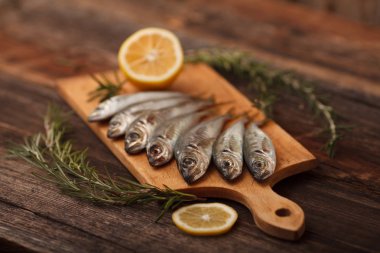 rosemary bir rustik tarzı ile taze Karadeniz balık uskumru besindir