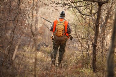 bir kuş woodcock av köpekleri ile avcılar