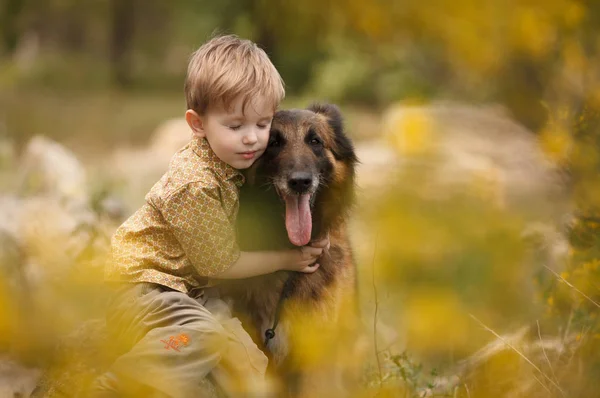 Uma criança pequena com um cachorro grande são melhores amigos — Fotografia de Stock