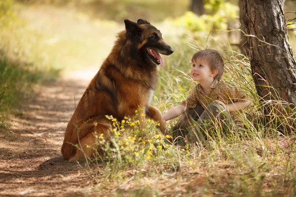 Uma criança pequena com um cachorro grande são melhores amigos — Fotografia de Stock