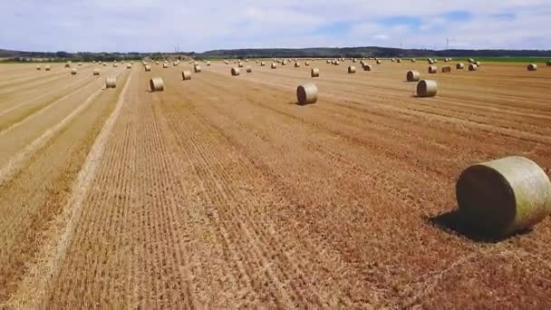 Drone forward flight over field with hay bales. — Stock Video