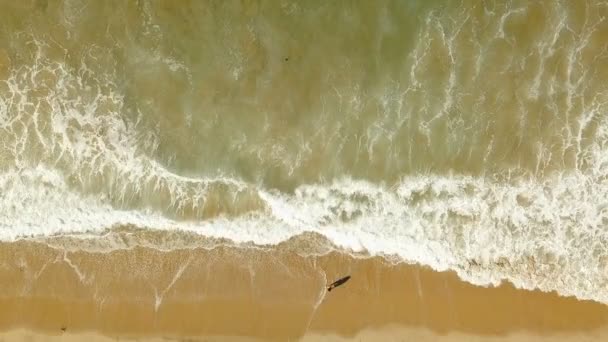Donna che cammina sulla spiaggia. vista dall'alto dal drone — Video Stock