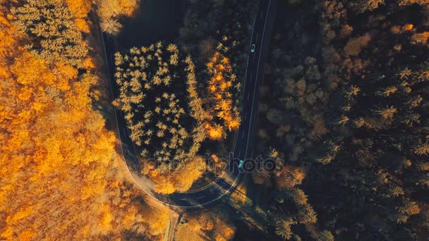 Blick von der Straße mit Autos im bunten Herbst. — Stockvideo