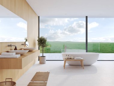 Yeni banyo güzel bir görünüm. 3D render