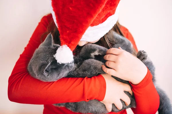 Kırmızı tüylü Noel Baba şapkalı genç bir kız pofuduk gri bir kedi yavrusu tutuyor. — Stok fotoğraf