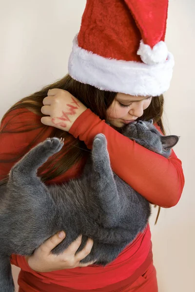 Kırmızı Noel Baba şapkalı ve kırmızı kazaklı bir kız elinde gri bir kedi yavrusu tutuyor. — Stok fotoğraf