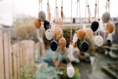 Asılı kompozisyon, bıldırcın yumurtası ve tüylerinin rüya avcısı. 