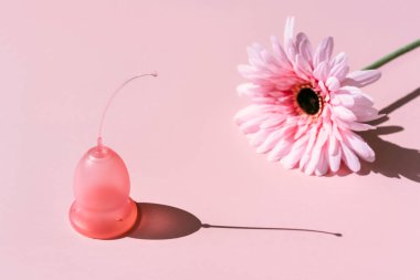 Pembe adet fincan ve çiçek pembe bir arka plan üzerinde.