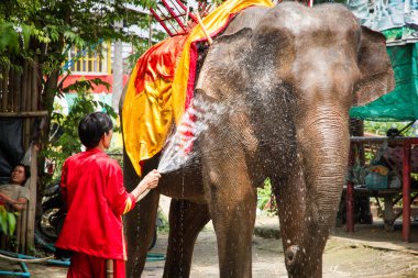 Ayutthaya,Tayland, - 16 Ekim 2014 : Tanımlanamayan isim Asya