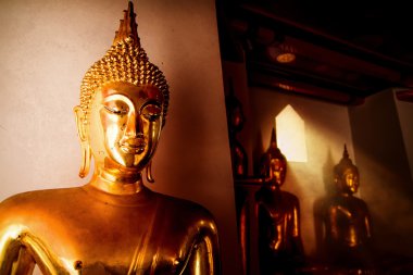 Wat Pho Tapınağındaki Buda sıralı güzel bir şekilde Bangkok, Tayland.
