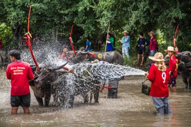 Chonburi, Tayland - 07 Temmuz 2013: Tanımlanamayan çiftçi sıçrama
