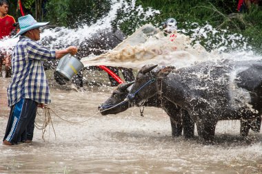 Chonburi, Tayland - 07 Temmuz 2013: Tanımlanamayan çiftçi sıçrama