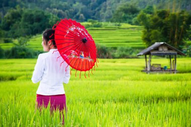 Chiang Mai, Tayland, - Ekim, 24, 2014: Tanımlanamayan adı olarak