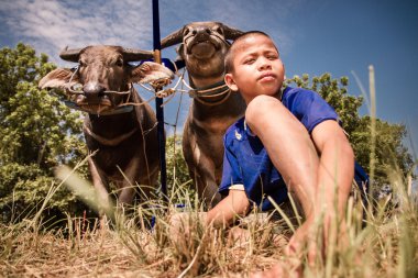 Chonburi, Tayland - 07 Temmuz 2013: Tanımlanamayan Plowboy