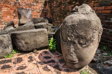 Antik Buda heykelleri WAT Mahathat, Ayutthaya zarar