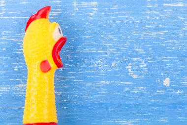 Toy yellow shrilling chicken on blue wooden background clipart