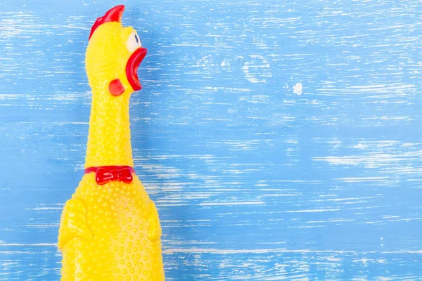 Juguete amarillo chillón pollo sobre fondo de madera azul — Foto de Stock