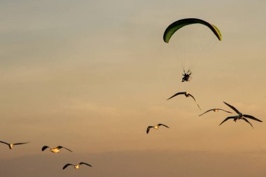 Günbatımında uçan siluet Paramotor, paraşüt, Paraglide 