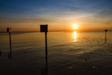 Martı kuşu inanılmaz renkli gökyüzü ve alacakaranlık sunse denizde