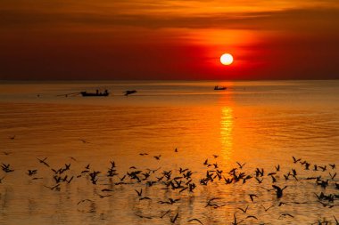 Martı kuşu inanılmaz renkli gökyüzü ve alacakaranlık sunse denizde