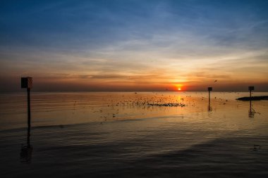 Martı kuşu inanılmaz renkli gökyüzü ve alacakaranlık sunse denizde
