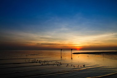 Martı kuşu inanılmaz renkli gökyüzü ve alacakaranlık sunse denizde