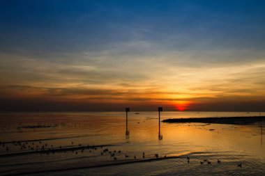 Martı kuşu inanılmaz renkli gökyüzü ve alacakaranlık sunse denizde