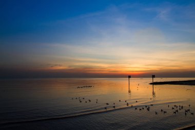 Martı kuşu inanılmaz renkli gökyüzü ve alacakaranlık sunse denizde
