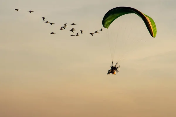 Silhouette Paramotor, fallskärm, paraglida flyger i solnedgången — Stockfoto