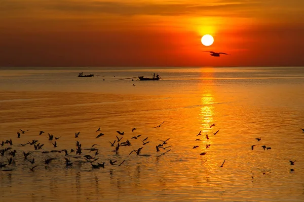 Pták Racek s úžasné barevné nebe a moře na soumrak sunse — Stock fotografie