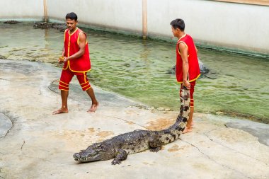 Samut Prakan, Tayland - 04 Ocak 2017: de riski göster