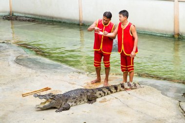 Samut Prakan, Tayland - 04 Ocak 2017: de riski göster