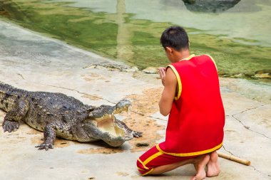 Samut Prakan, Tayland - 04 Ocak 2017: de riski göster