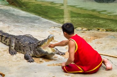 Samut Prakan, Tayland - 04 Ocak 2017: de riski göster