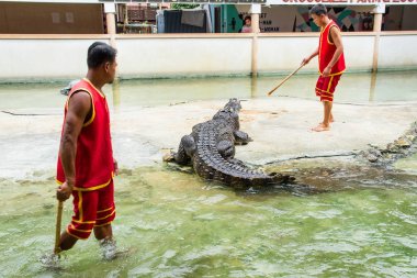Samut Prakan, Tayland - 04 Ocak 2017: de riski göster
