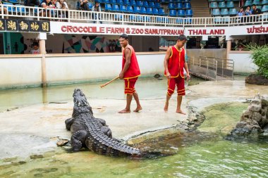 Samut Prakan, Tayland - 04 Ocak 2017: de riski göster