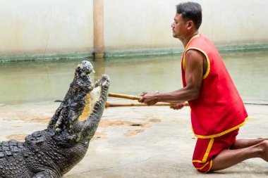 Samut Prakan, Tayland - 04 Ocak 2017: de riski göster