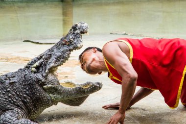 Samut Prakan, Tayland - 04 Ocak 2017: de riski göster
