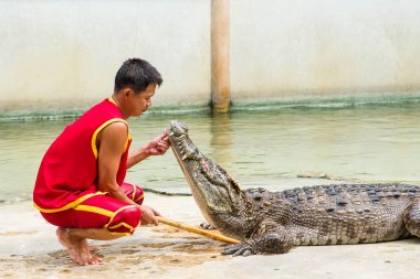 Samut Prakan, Tayland - 04 Ocak 2017: de riski göster