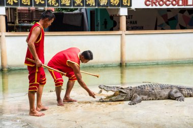 Samut Prakan, Tayland - 04 Ocak 2017: de riski göster